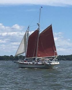 Fundraising Page Image