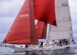 Fundraising Page Image