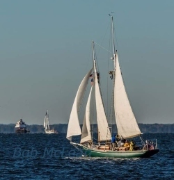 Fundraising Page Image