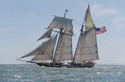 Fundraising Page Image