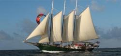Fundraising Page Image