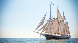 Fundraising Page Image