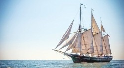 Fundraising Page Image