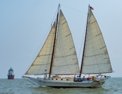 Fundraising Page Image