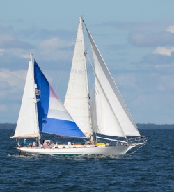 Fundraising Page Image