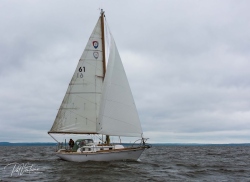 Fundraising Page Image