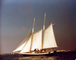 Fundraising Page Image