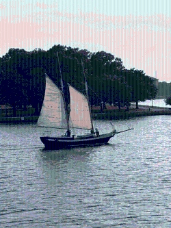 Fundraising Page Image