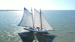 Fundraising Page Image