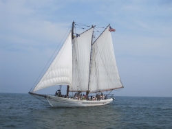 Fundraising Page Image