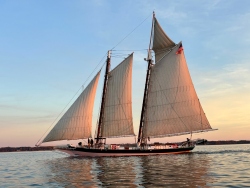 Fundraising Page Image